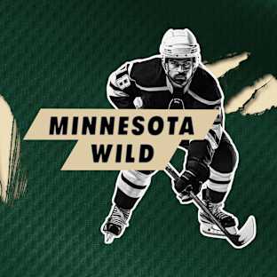 Minnesota Wild Parking Image