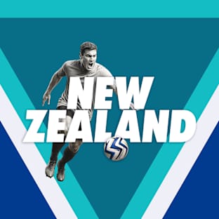 New Zealand Mens National Football Parking Image