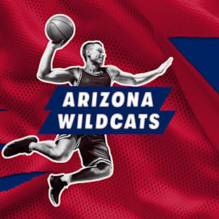Arizona Wildcats Mens Basketball Parking Image