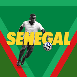 Senegal Mens National Football Parking Image