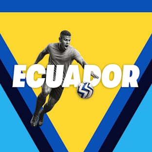 Ecuador Mens National Football Parking Image
