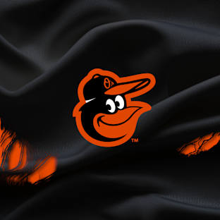 Baltimore Orioles Image