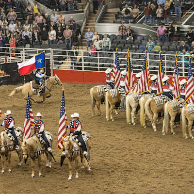 San Antonio Stock Show and Rodeo