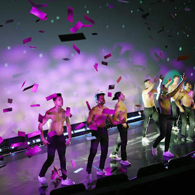 Magic Mike Live