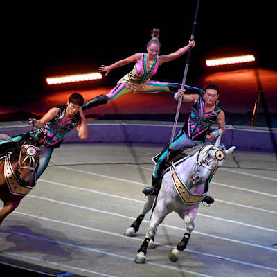 Ringling Bros B&B Circus